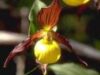biodiversitate biodiversitate