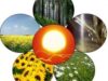bioenergie