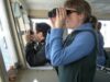 bird watch