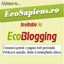 ecoblogging.jpg