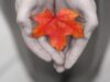 findexpo-bodymindspiritguide.jpg