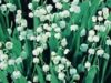 flori organice