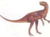 heterodontozaur heterodontozaur