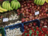 legume si fructe modificate genetic