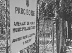 parcul bordei