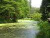parcul dendrologic simeria