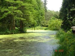 parcul dendrologic simeria