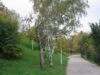 parcul-tineretului