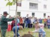 plantare arbori
