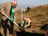 plantare copaci arsinel
