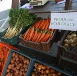 produse ecologice