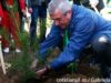 record verde la plantare
