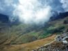 transalpina transalpina