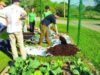 agricultura ecologica