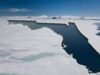 arctic-ice-florida-070910-ms.jpg arctic-ice-florida-070910-ms.jpg
