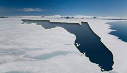 arctic-ice-florida-070910-ms.jpg