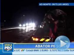 cai omorati pe sosele