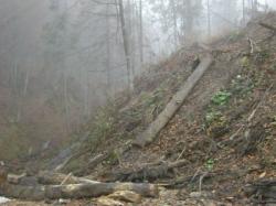 defrisare
