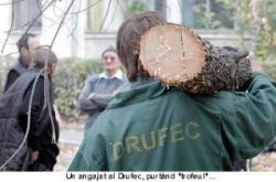 defrisari