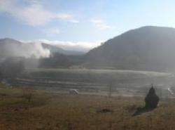 dezastre ecologice
