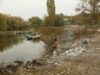 dezastru in delta dunarii