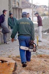 drufec
