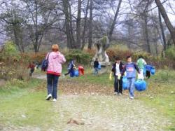 Ecologizare la Constantin Brancus