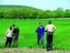 fonduri daneze pentru agricultura ecologica