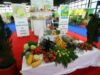 Germania ar prefera să importe produse bio din România, în locul celor din China