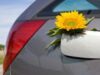 motorina ecologica