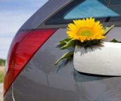 motorina ecologica