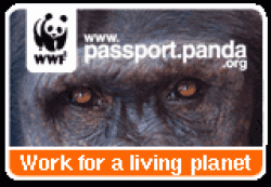 passport_lozenge_gorilla_banner.gif