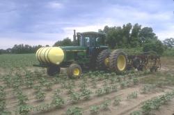 pesticide