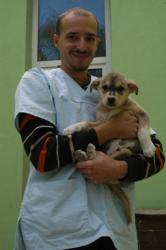 veterinar