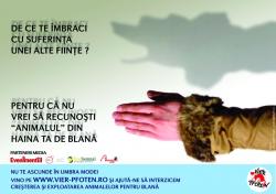 vizual-campanie.jpg