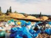 degradarea pungilor de plastic dureaza 400 de ani