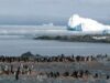 incalzirea arcticului