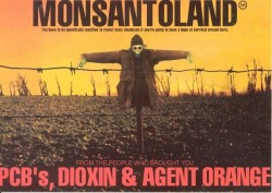 le-monde-selon-monsanto-poster.jpg