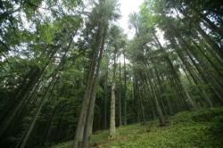 natura 2000