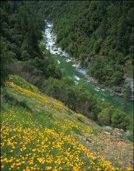 natura