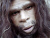 neanderthal neanderthal