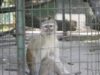 organizare la gradina zoologica