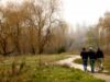parcul cornitoriu