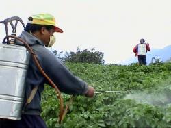 pesticide