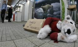 schimbarile climatice