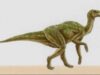 sit paleontologic