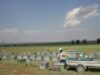 subventii pentru agricultura eco