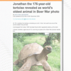 testoasa jonathan