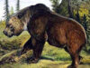ursul de pestera