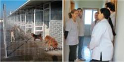 adapost pentru animale